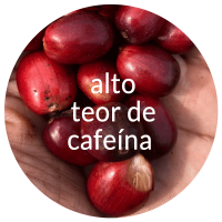 alto-teor-de-cafeina (1) alto-teor-de-cafeina (1)
