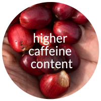 coffee-cafe-amazonico2 coffee-cafe-amazonico2