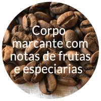 corpo-marcante corpo-marcante