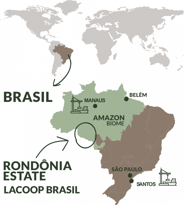 mapa-lacoop mapa-lacoop